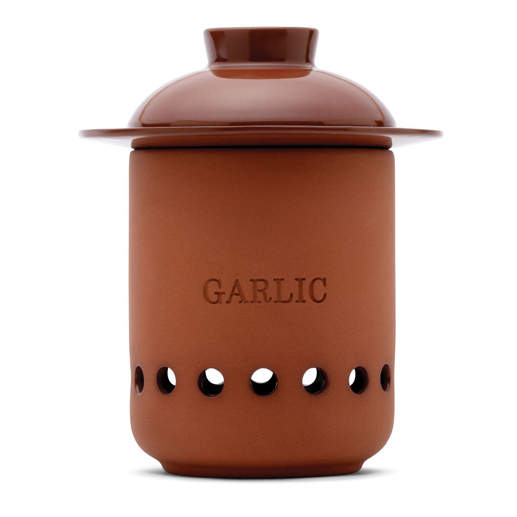 terracotta garlic keeper best new kitchen gift 