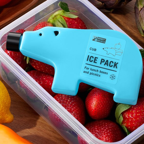 BLUE BEAR MOM reusable ice pack – for lunch or travel