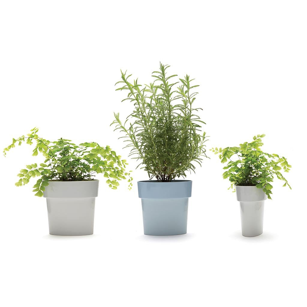 SLIM FLOWER POT | Small plants in tight spaces - Home & Garden - Monkey Business Europe